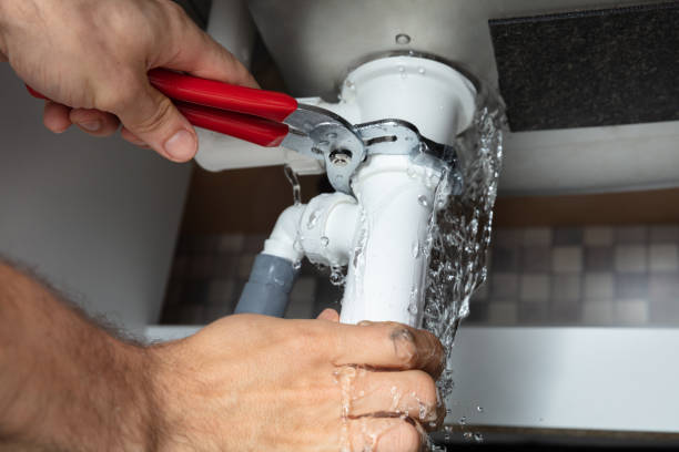 Best Flood damage cleanup  in Lake Isabella, MI