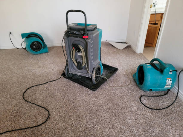 Best Water damage restoration near me  in Lake Isabella, MI