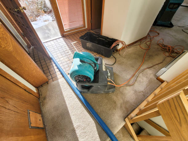 Best Flooded house restoration  in Lake Isabella, MI