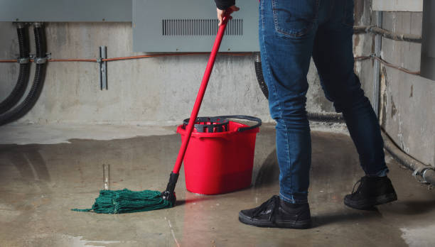 Best Residential water damage restoration  in Lake Isabella, MI