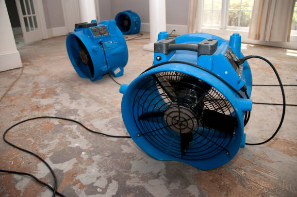 Best Water damage repair service  in Lake Isabella, MI