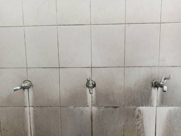 Best Fire Damage Restoration  in Lake Isabella, MI