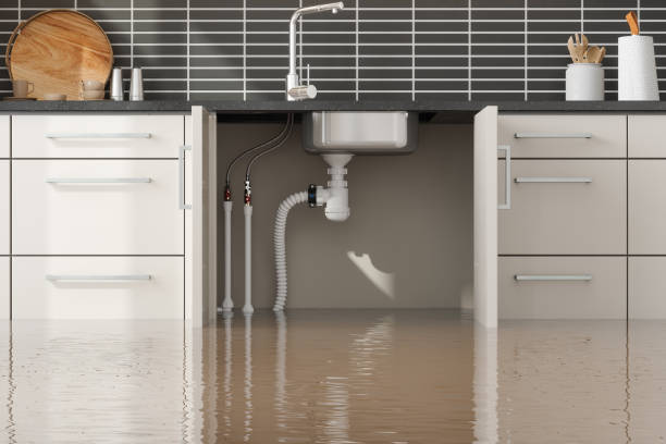 Best Mold removal after water damage  in Lake Isabella, MI