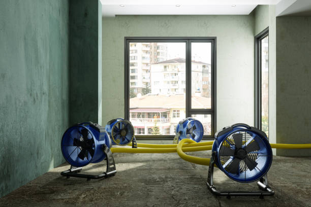 Sewage cleanup and water damage restoration in Lake Isabella, MI