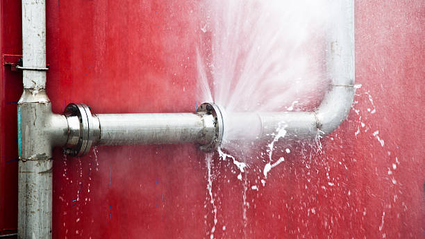 Best Local water damage restoration  in Lake Isabella, MI