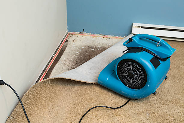 Reliable Lake Isabella, MI Water damage restoration Solutions